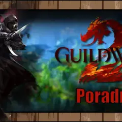Mroczny zabójca z sztyletami, logo Guild Wars 2 i napis "Poradnik". Sprawdź guild wars 2 wymagania, by rozpocząć przygodę!