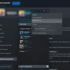 Okno Steam z opcjami statusu: Online, Zaraz wracam, Niewidoczny, Offline, Nie przeszkadzać.