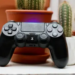 Czarny pad DualShock 4, gotowy do gry w r3. W tle kaktusy w doniczkach.